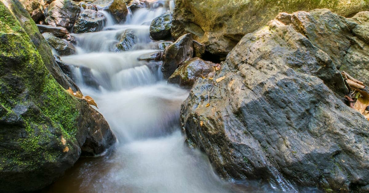 Waterfall surrounded by dense forest at Maredumilli