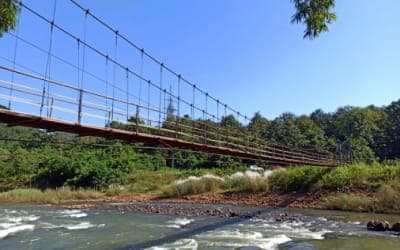 Jungle Star Eco Camp