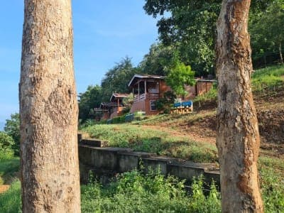 Wooden cottages among trees on a hillside in Papikondalu
