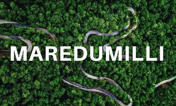 Winding road through the dense Maredumilli forest, seen from above
